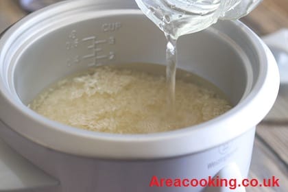 How Much Water To Add To A Rice Cooker